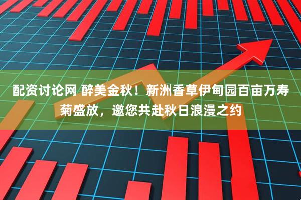 配资讨论网 醉美金秋！新洲香草伊甸园百亩万寿菊盛放，邀您共赴秋日浪漫之约