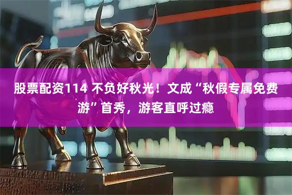 股票配资114 不负好秋光！文成“秋假专属免费游”首秀，游客直呼过瘾